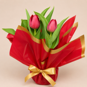 Vaso de Tulipas 