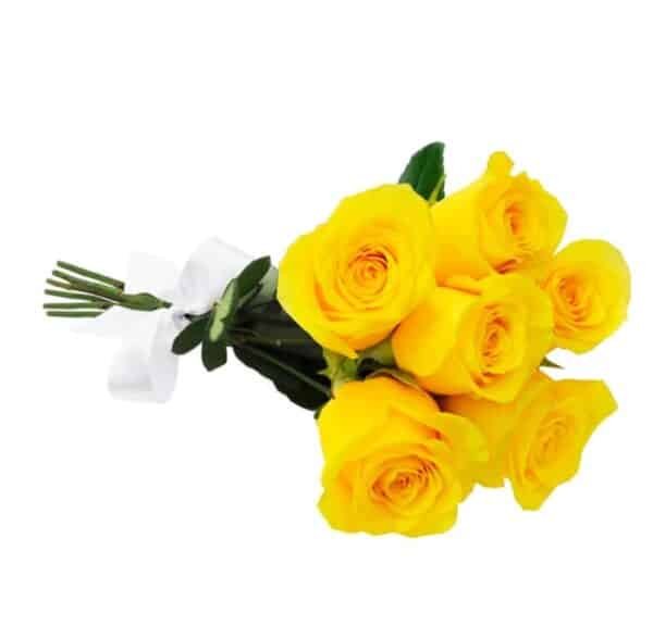 Buquê 6 rosas amarelas com laço