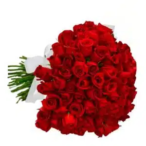 Buquê com 100 rosas e laçarote