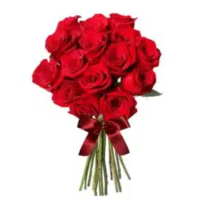 Buquê com 15 Rosas com laçarote