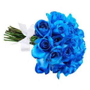 Buquê com 24 rosas azuis com laçarote