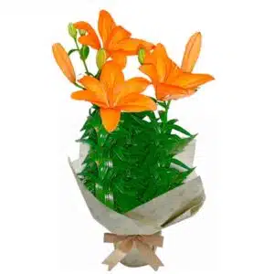 Vaso Plantado de Lírios Laranja