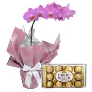 Vaso de Orquídeas Plantado + Ferrero Rocher
