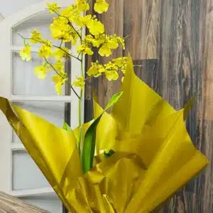 Vaso de Orquídea Chuva de Ouro