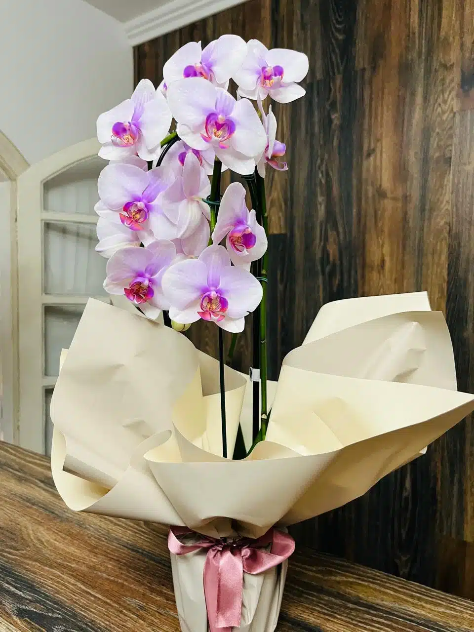 Imagem do WhatsApp de 2025-05-05 à(s) 11.59.12_88b07a29