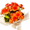 Mini Begônias Plantadas - Imagem 4