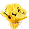 Mini Begônias Plantadas - Imagem 5
