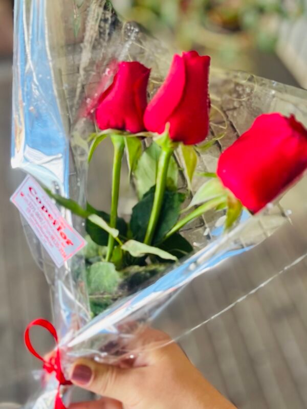 Mini arranjo com 3 rosas