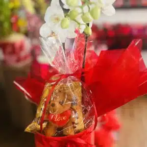 Mini orquídeas na caixa.