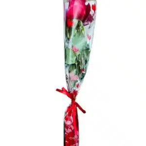 Botão de rosa solitária