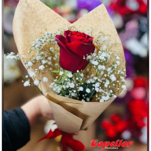 Rosa solitária para presente