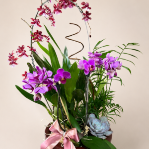Arranjo com orquídeas e verdes